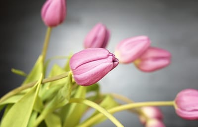 صبحية مع الرب