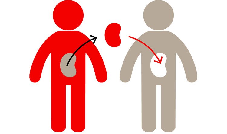 برنامج شو صاير مع جويل (موضوع وهب الأعضاء)