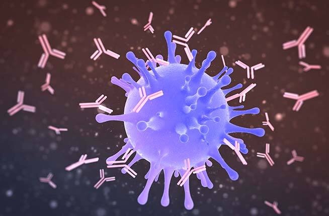 فيروس كورونا يقتل نفسه بالطفرة الجديدة وسينتهي خلال شهرين مثل نهاية سارس بحسب جامعة كاليفورنيا