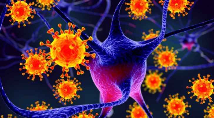 لماذا يخافه العالم؟... تعرف على الأعراض الـ 11 لفيروس نيباه