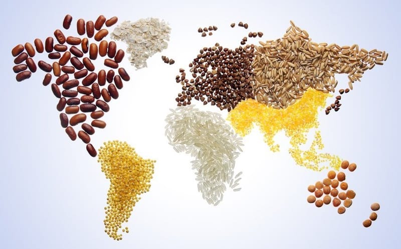 البابا فرنسيس: نحن عائلة واحدة لا يجب أن يغيب الطعام عن أحد