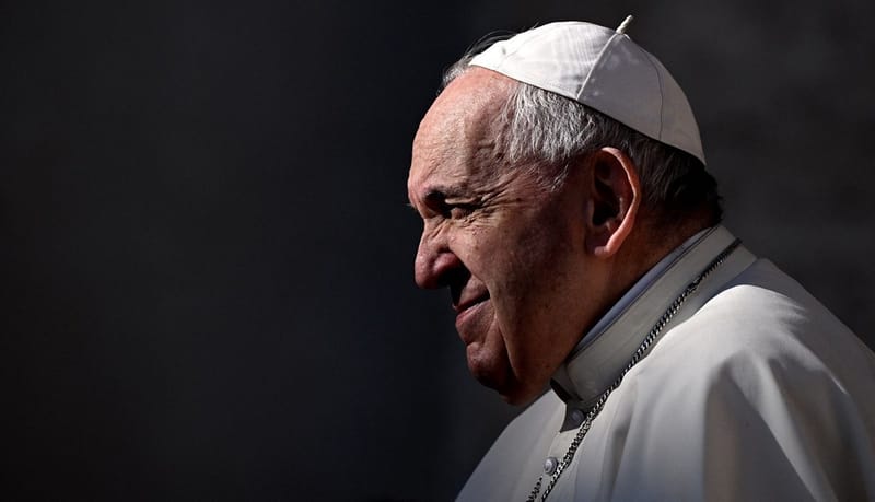 بالفيديو والصور- البابا فرنسيس يُثير القلق خلال لقاء عامّ