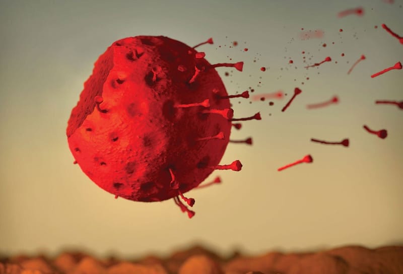 هكذا ينتهي كورونا هذا العام ...