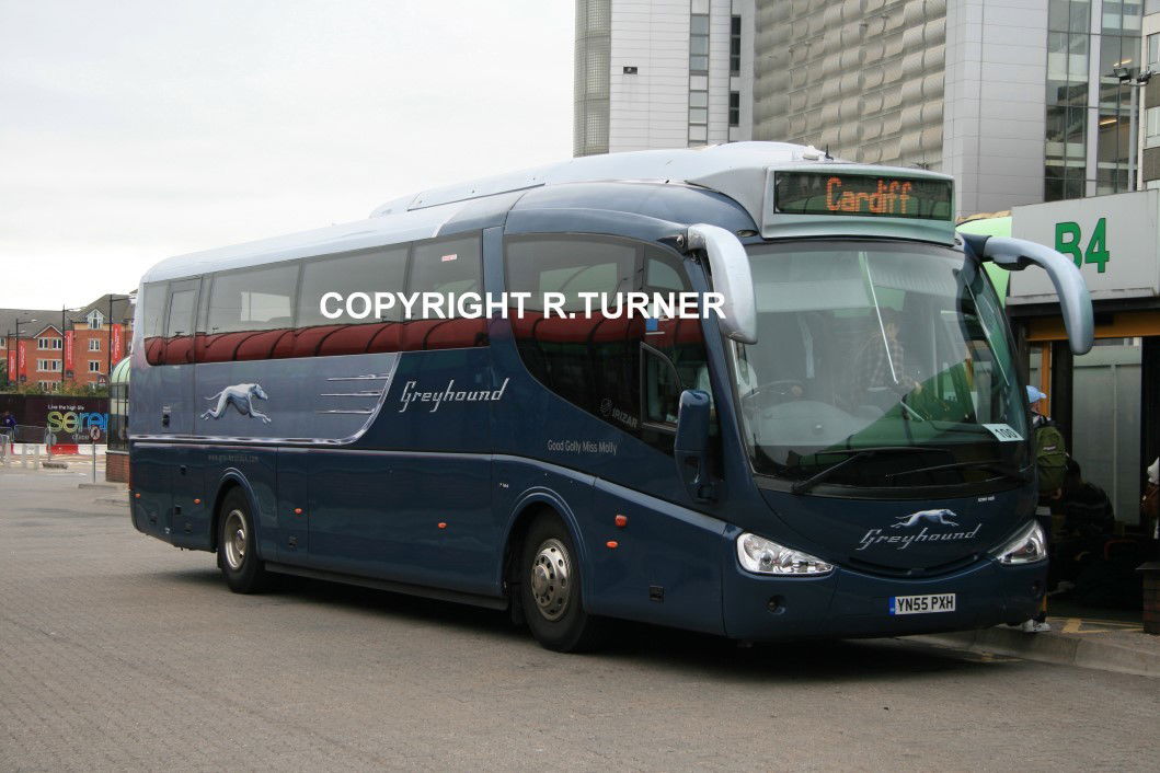 Greyhound YN55 PXH.