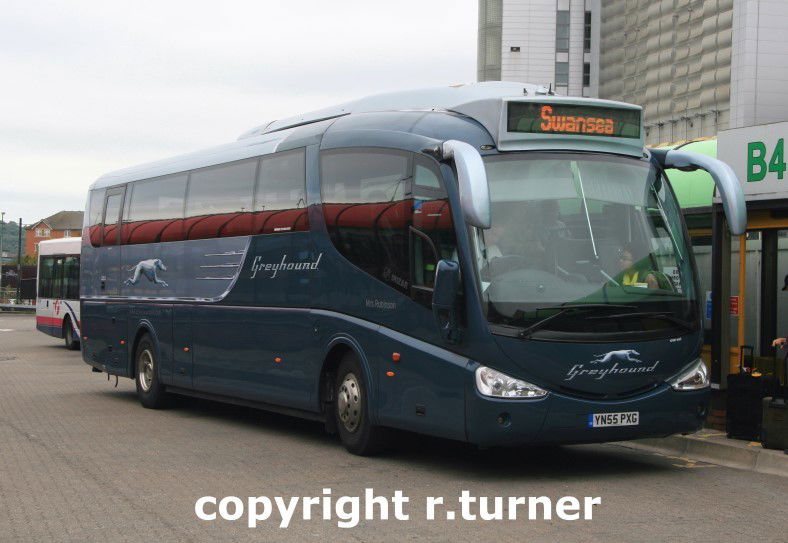 Greyhound YN55 PXG.
