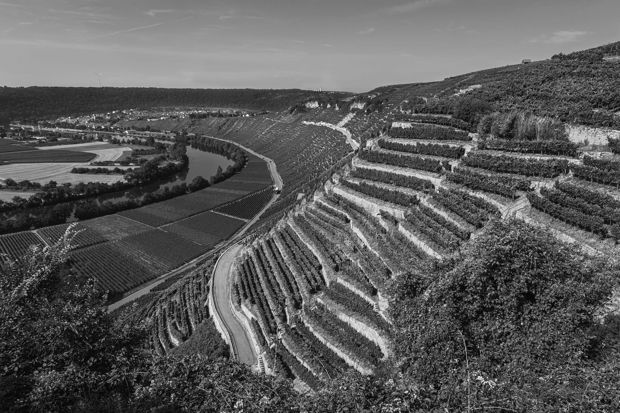 Käsberg vineyards on the Neckar River