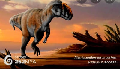metriacanthosaurus  image