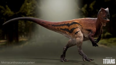 metriacanthosaurus  image