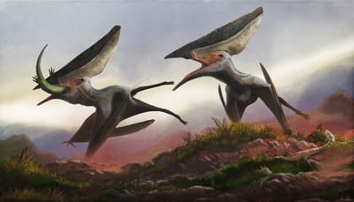 Thalassodromeus image