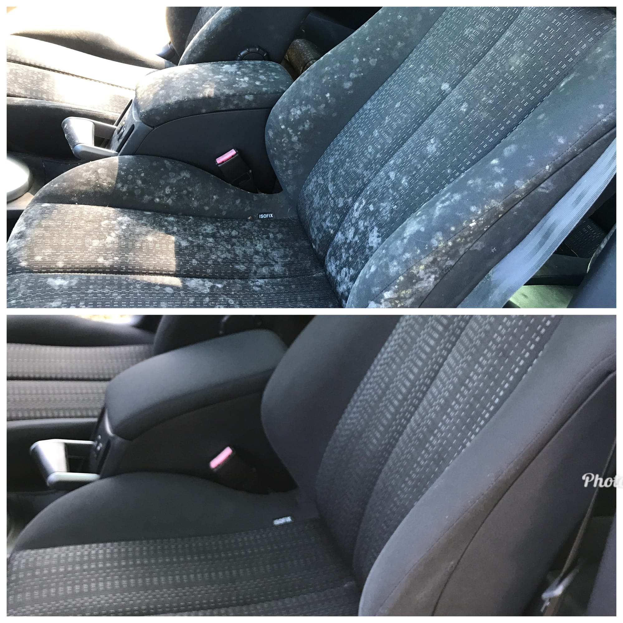 Renault Megane- mould infested