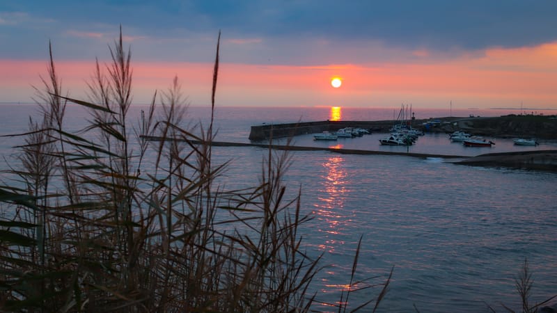 Presqu'île de Rhuys