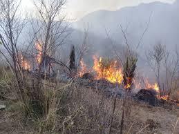 ALISTA CASAS GRANDES BRIGADAS CONTRA INCENDIOS FORESTALES