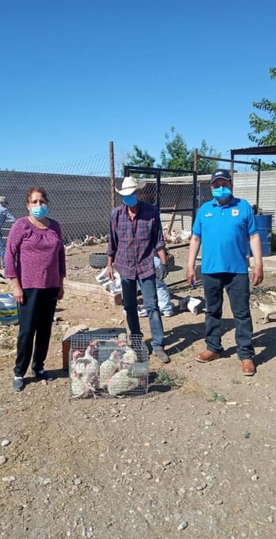 SUPERA CASAS GRANDES LA ENTREGA 200 PAQUETES DE GALLINAS PONEDORAS.