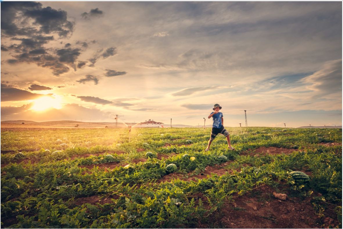 "HAPPINESS FOR WATERMELON FIELD" © 2021