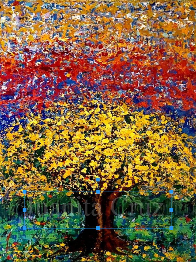 “Flamboyán amarillo" © 2022