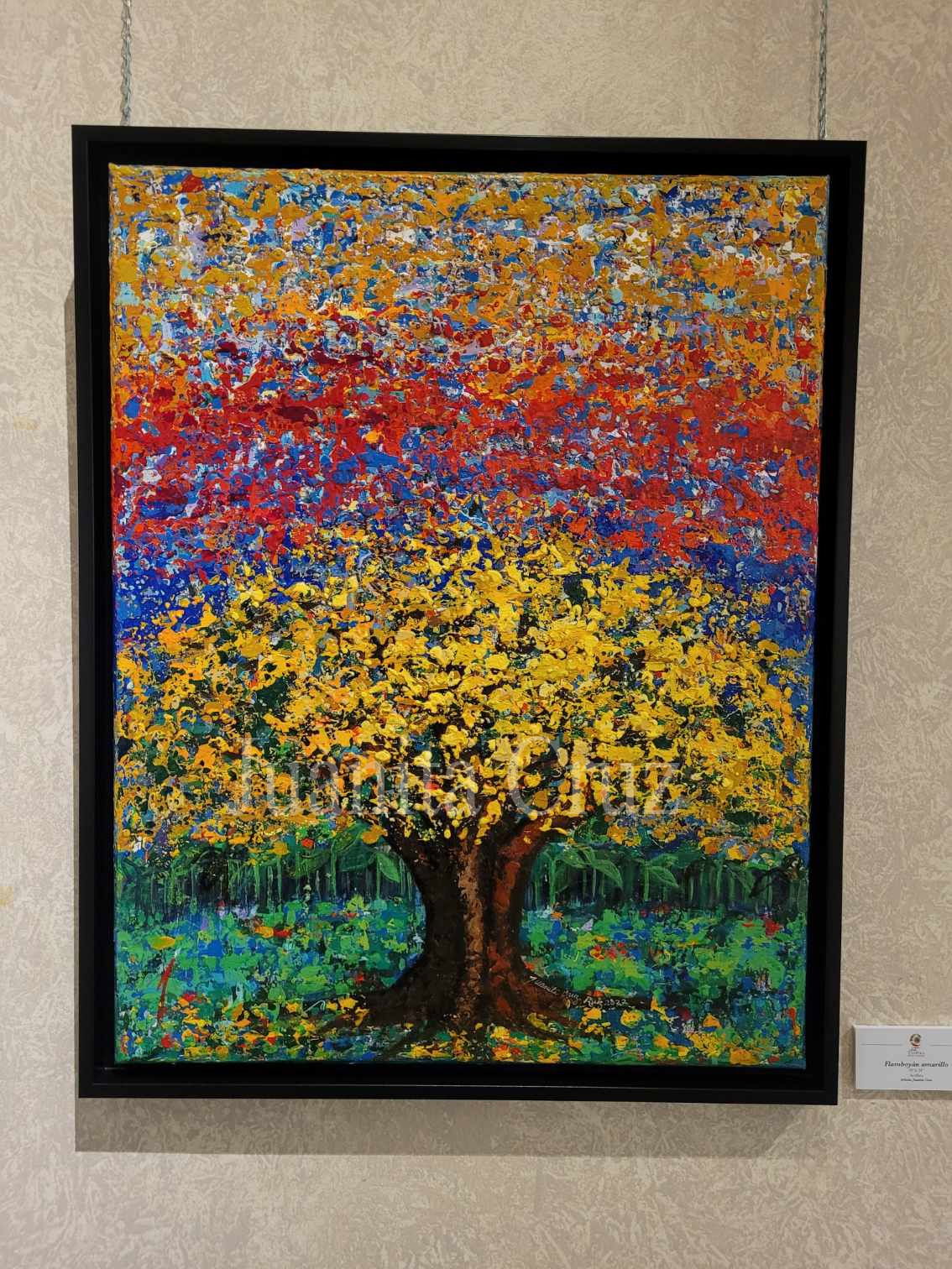 “Flamboyán amarillo © 2022 (detalle)