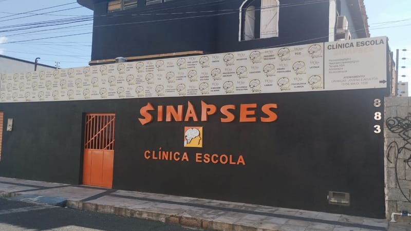 Instituto de Educacao Superior Sinapses & Cia Ltda Me