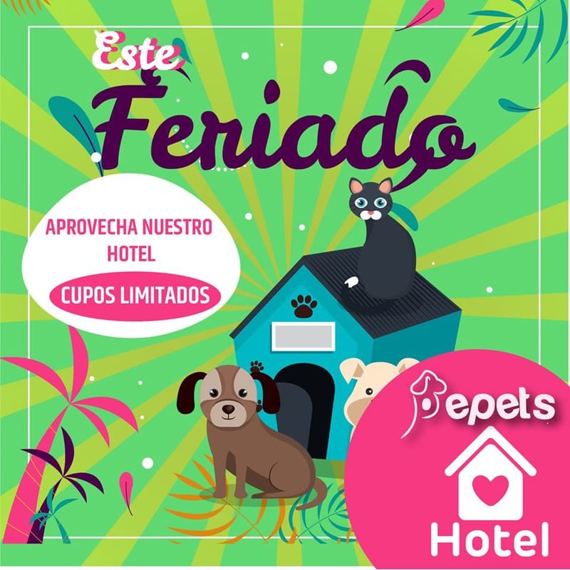 HOTEL CANINO Y FELINO