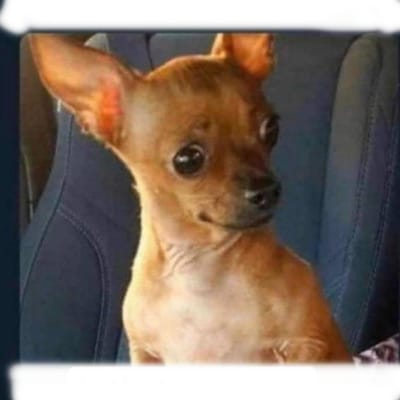 5Cs of Marketing-4th being CONTEXT