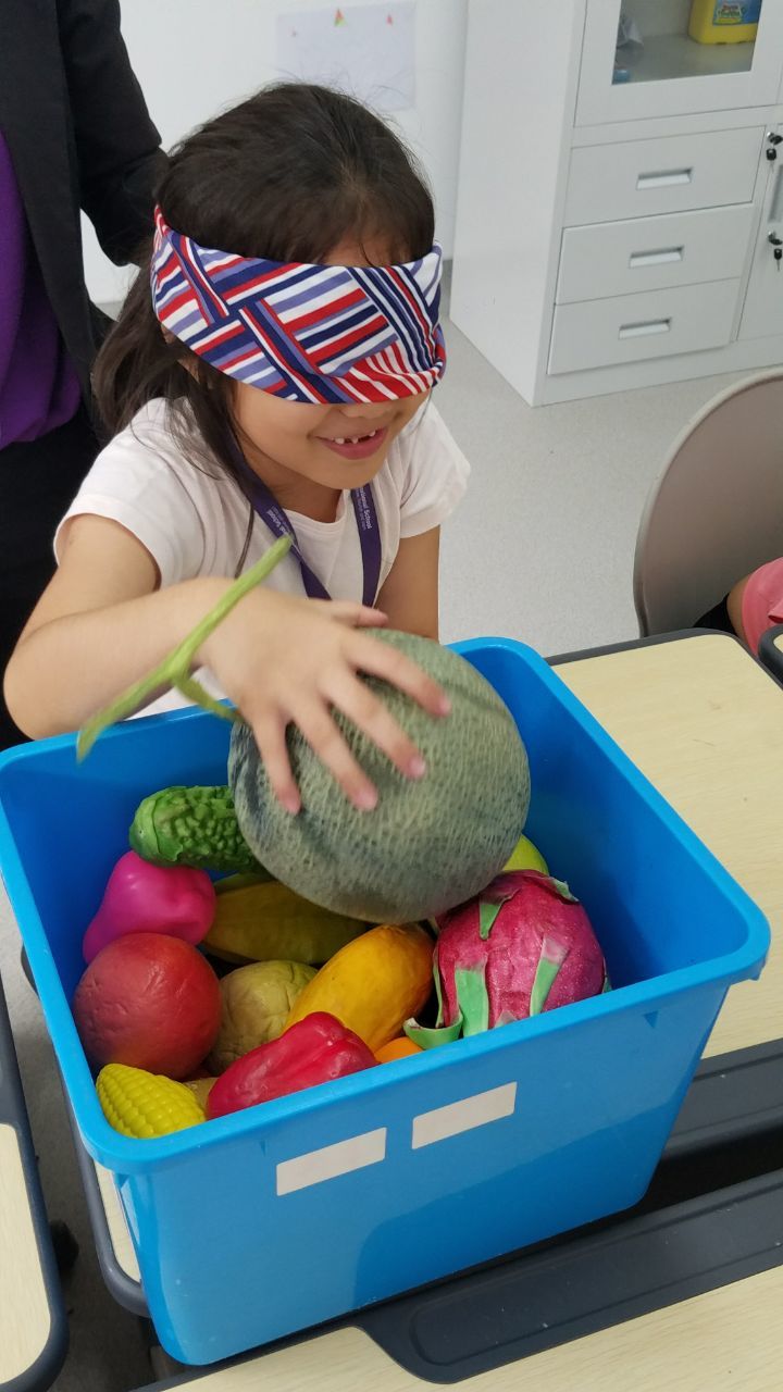 Tactile Sensation of Fruits and Veggies
