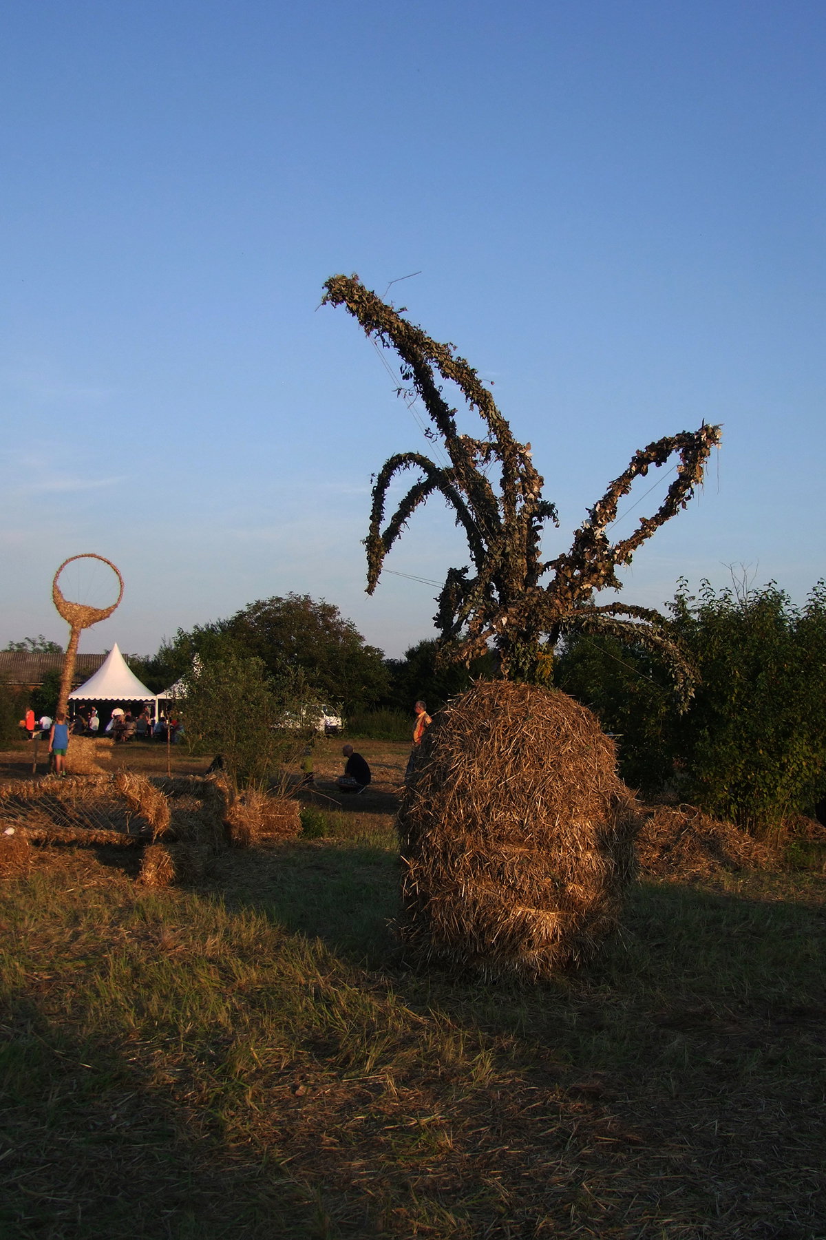 Pineapple - Land Art