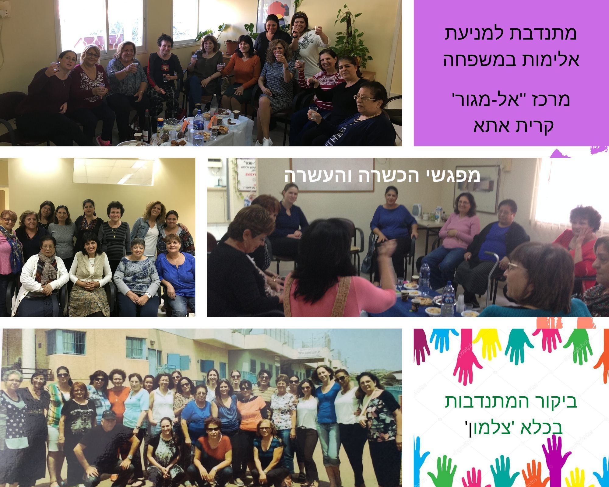 שימור ותחזוקת מתנדבים מתמחים - מתנדבות אלימות במשפחה