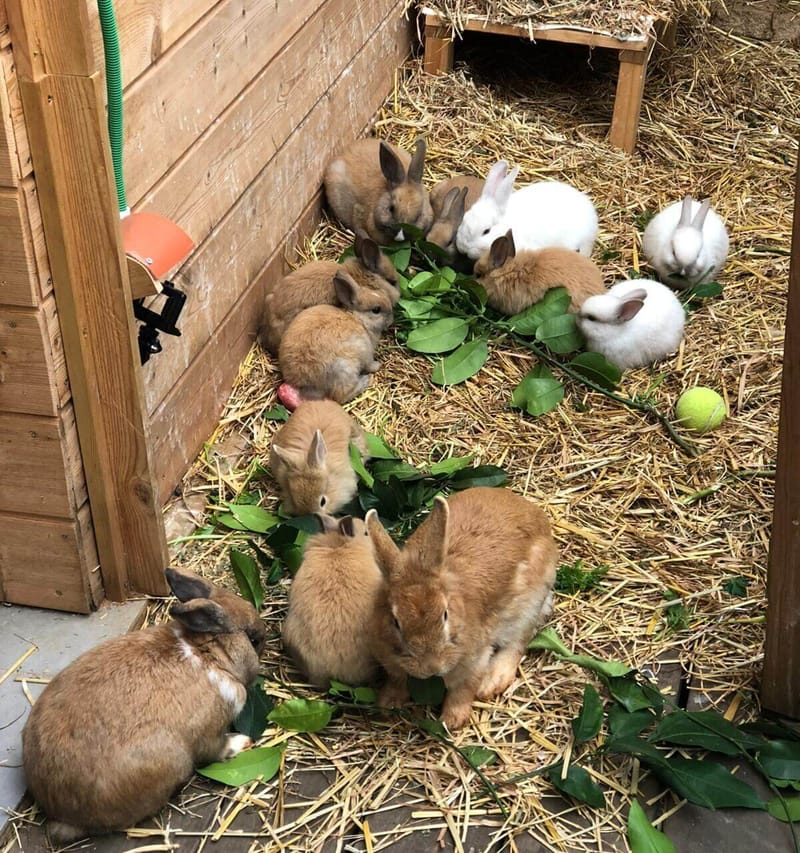 משפחה היא איפה שמתחילים החיים והאהבה לעולם לא נגמרת