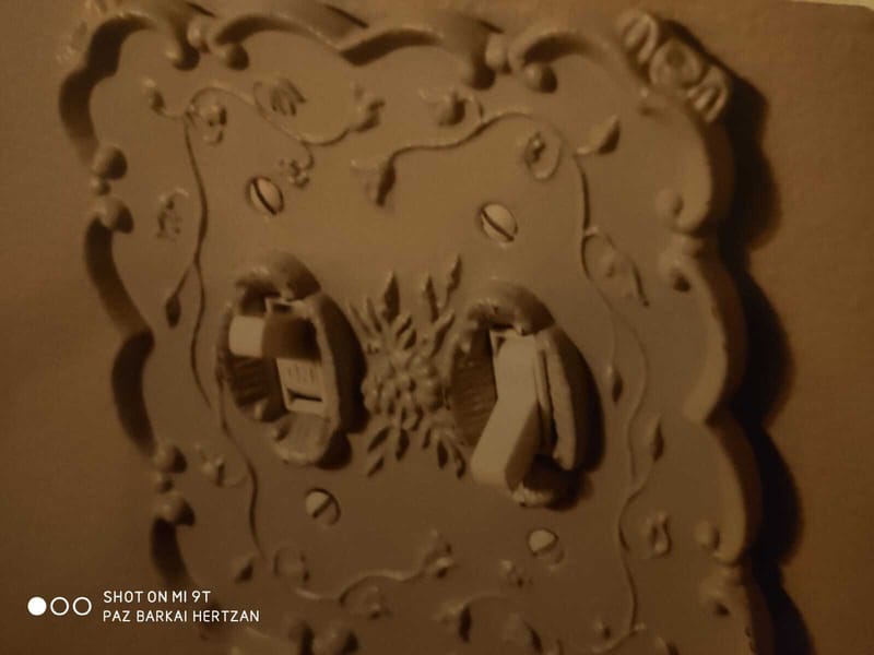 התאוררות- מימוש הצעד הבא שלך- פז ברקאי הרצן M.A