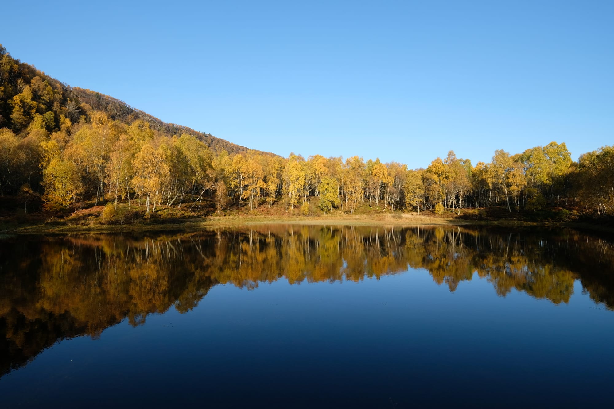 Autumn, Craigellachie