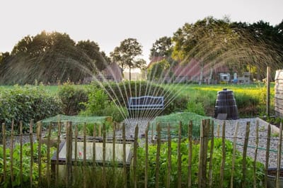 Aspects to Consider Before Choosing an Irrigation System image