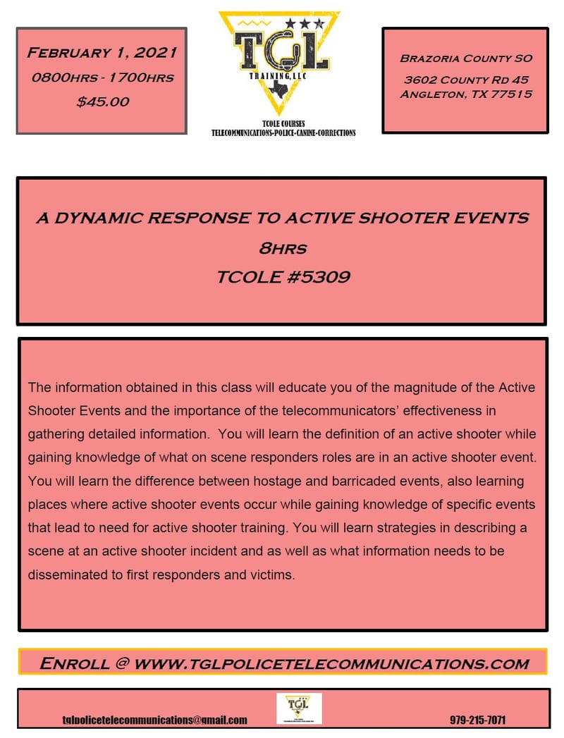 0201 A Dynamic Response to Active Shooter Events TCOLE 5309 (Brazoria Co)