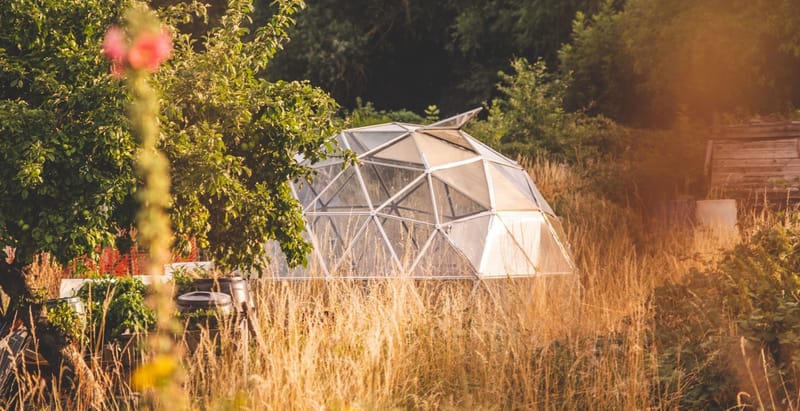 Le tue emozioni spiegate a un extraterrestre