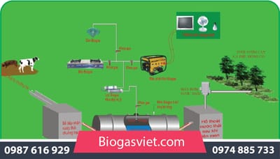 Xử lý chất thải chăn nuôi hộ gia đình - biogas việt