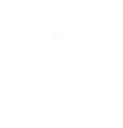 ChiliCord EbDesign®