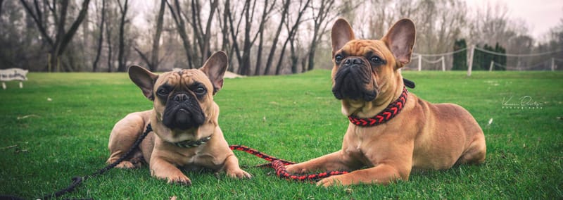 A kezdetek...ChiliCord