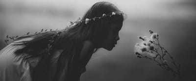 الجميلة والحكمة النقية