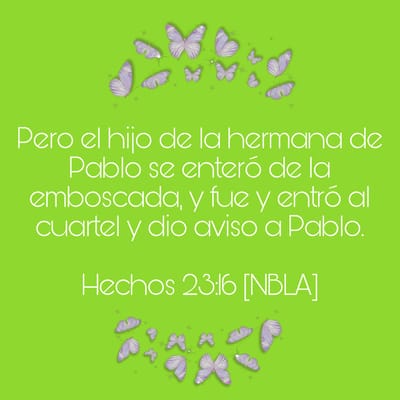 Hechos 23:11-30