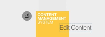 Best CMS Development Company