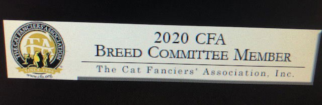 2020 - 2021  CFA BREED COUNCIL MEMBER