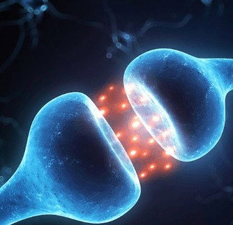 Neurotransmisores