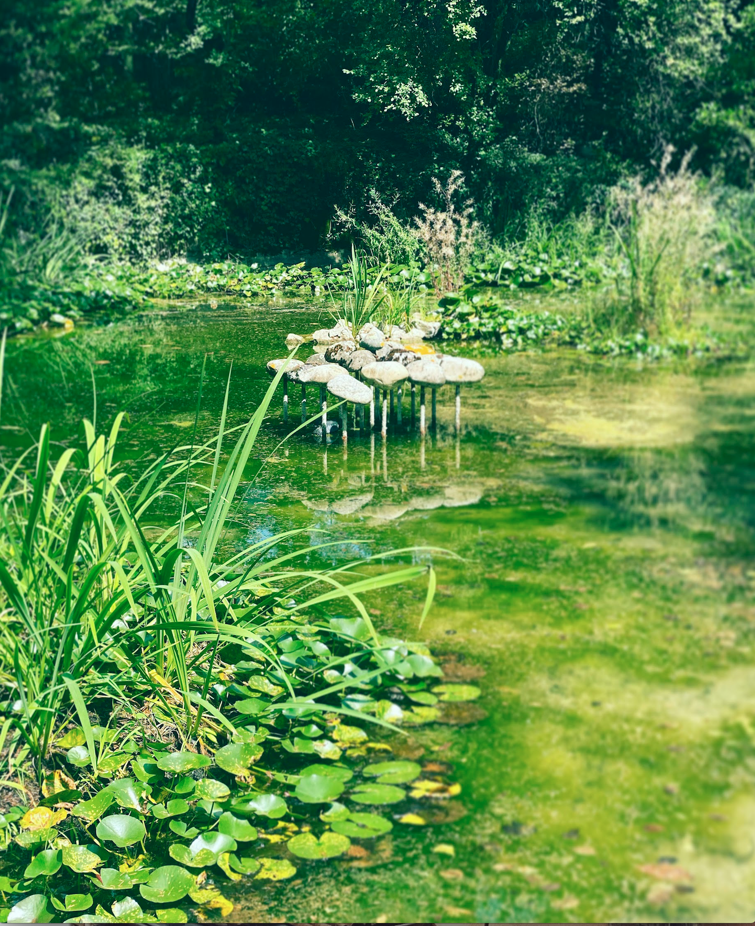 Parfois, il est bon de se noyer dans un verre d'eau (2021)