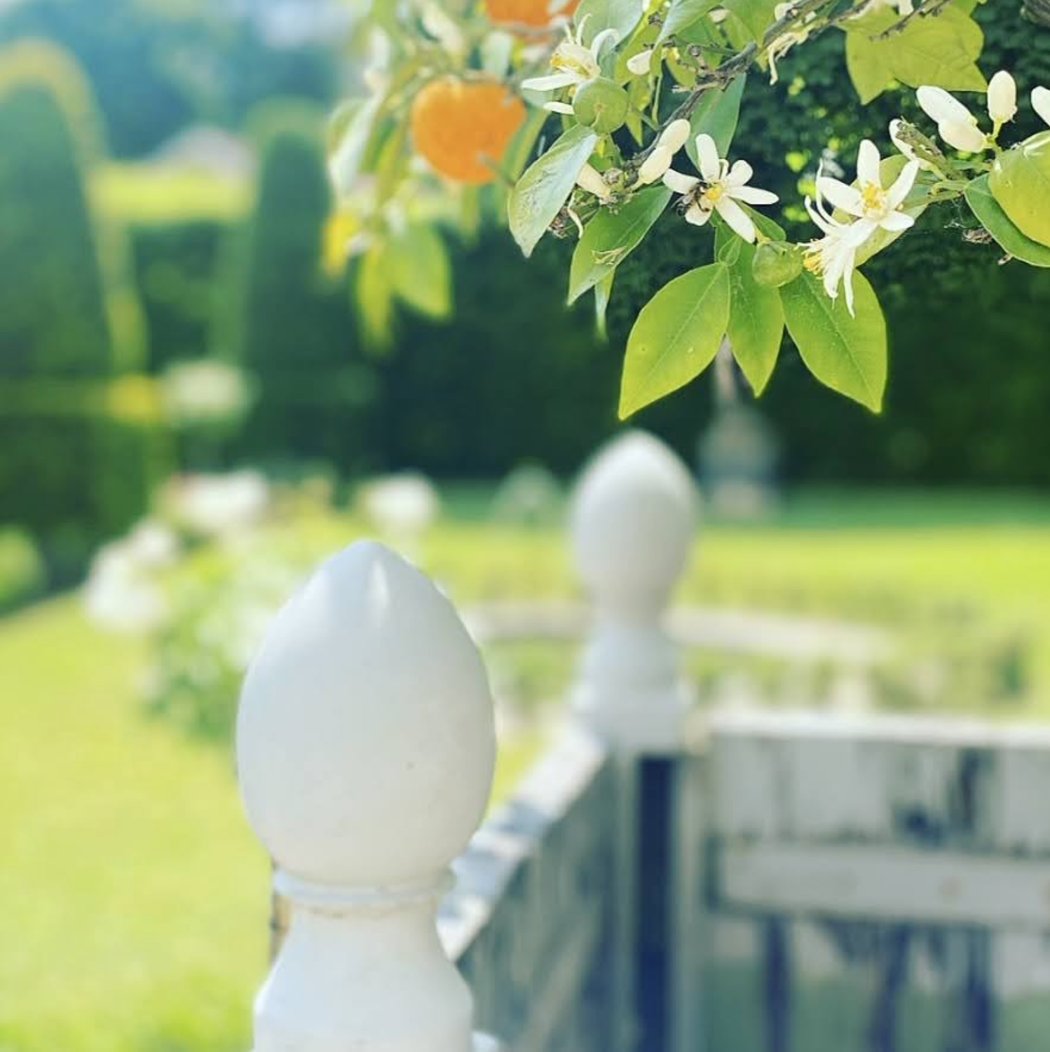 Campagne photographique autour du printemps dans les jardins du musée Hébert