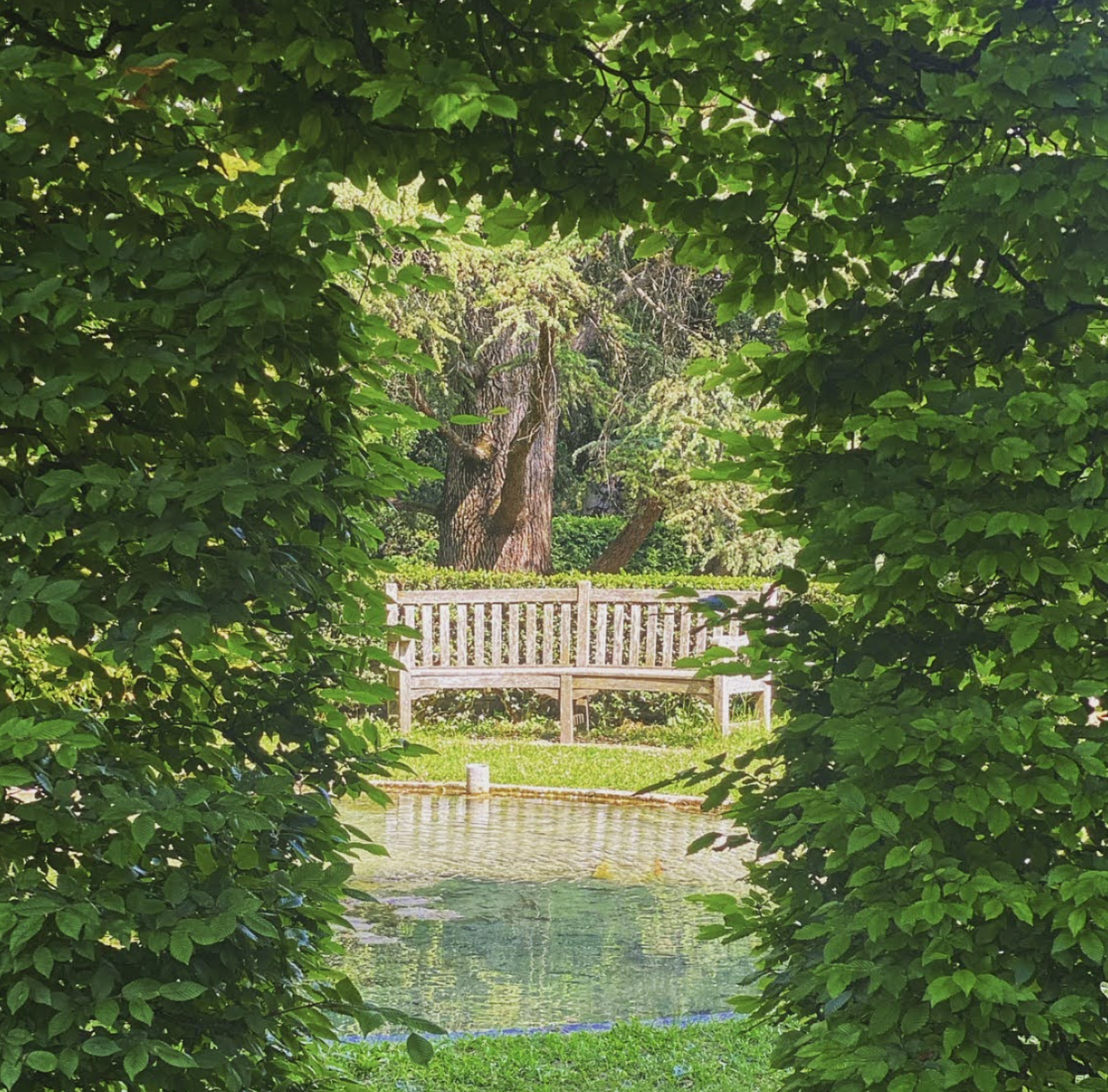 Campagne photographique autour du printemps dans les jardins du musée Hébert