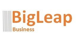 Bigleap Business Investments