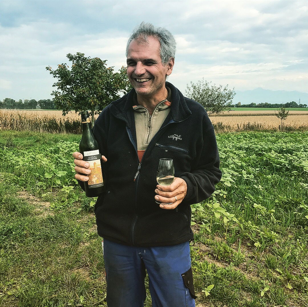 Kleine Paus im Weinberg