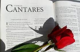 A Amada e Seu Amado