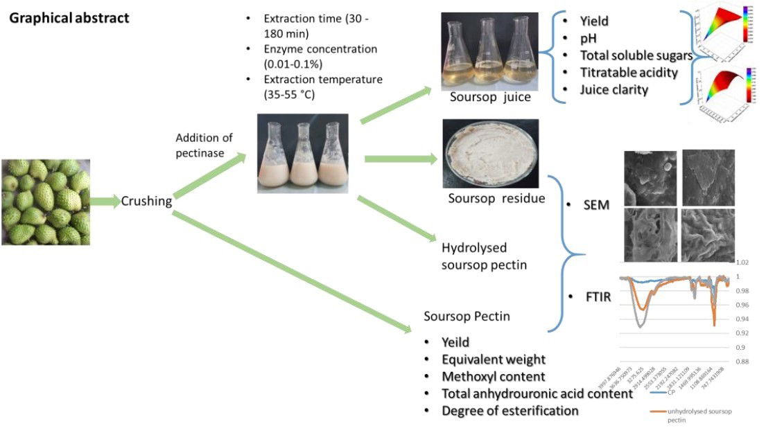 Optimization of pectinase-assisted extraction of Annona muricata L. juice and effect of liquefaction on its pectin structure (2020)