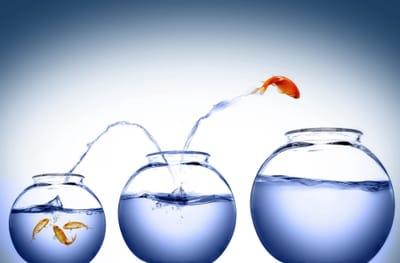 Chapter 25 Scaling-up and Modelling Applications of Solid-state Fermentation and Demonstration in Microbial Enzyme Production Related to Food Industries An Overview (2017)