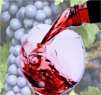 Chapter 19: Winemaking: Control, Bioreactor and Modelling of Process (2021)