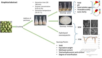 Optimization of pectinase-assisted extraction of Annona muricata L. juice and effect of liquefaction on its pectin structure (2020)